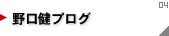 野口健ブログ